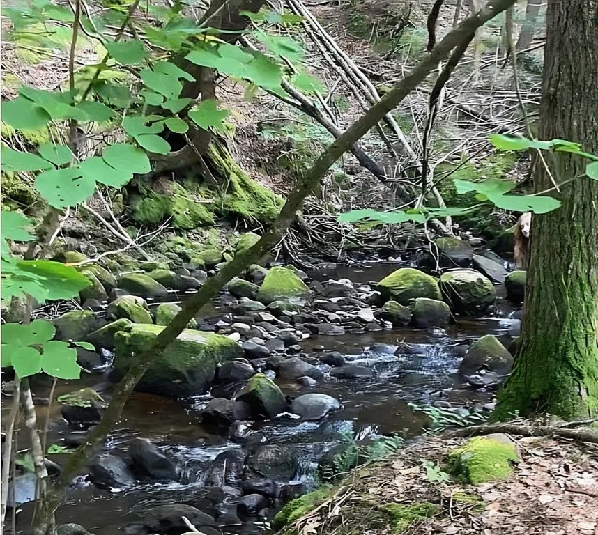 270 Wendell Depot Road Wendell, MA 01379 - Photo 10 of 38