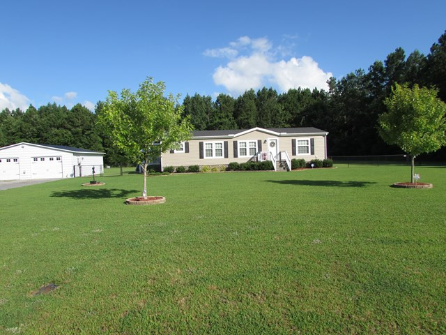 Main View