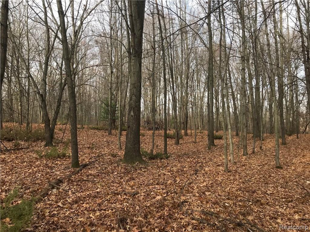 0 Lannen Road Howell, MI 48855 - Photo 19 of 26