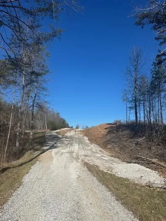 $60,000 | 4 50th Avenue, Unit TRACT 4, Gruetli Laager, TN 37339