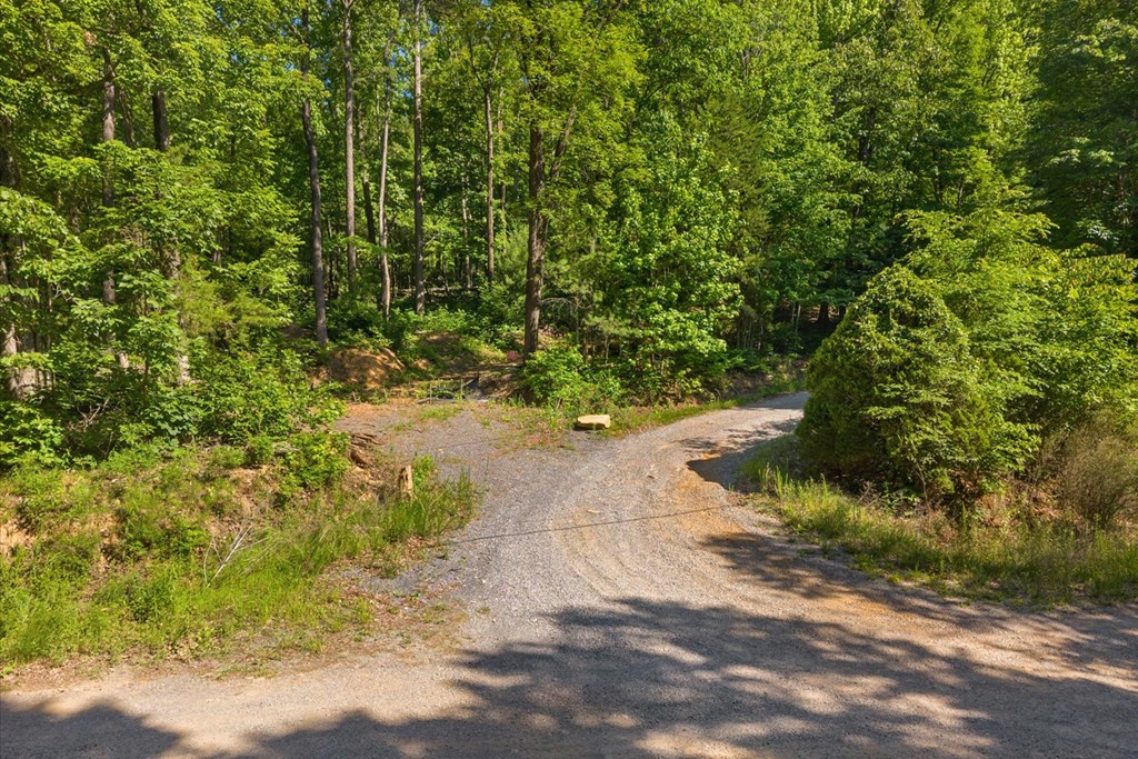 0 Emery Creek Road Chatsworth, GA 30705 - Photo 5 of 14 a view of a pathway of a yard