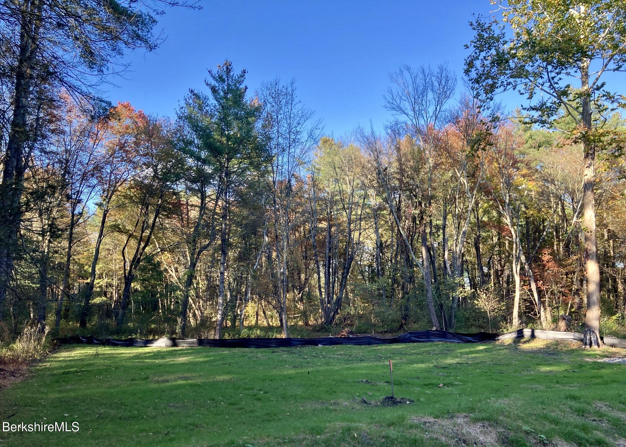 Cleared Site