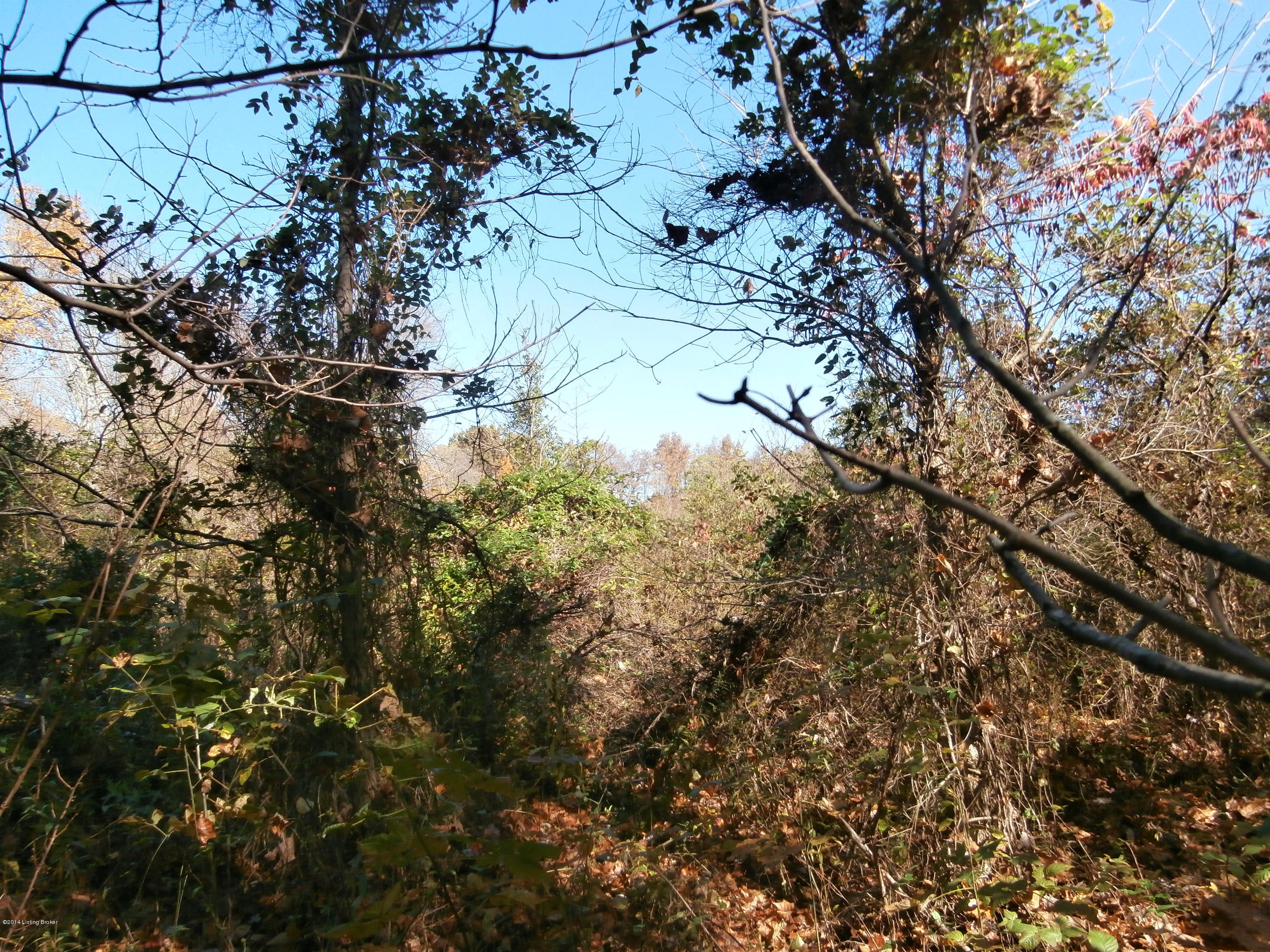0 George Creek Road Campbellsburg, KY 40011 - Photo 13 of 15 PA240423