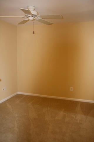 1536 Royal Colony Road Johns Island, SC 29455 - Photo 40 of 63 IMG_7166