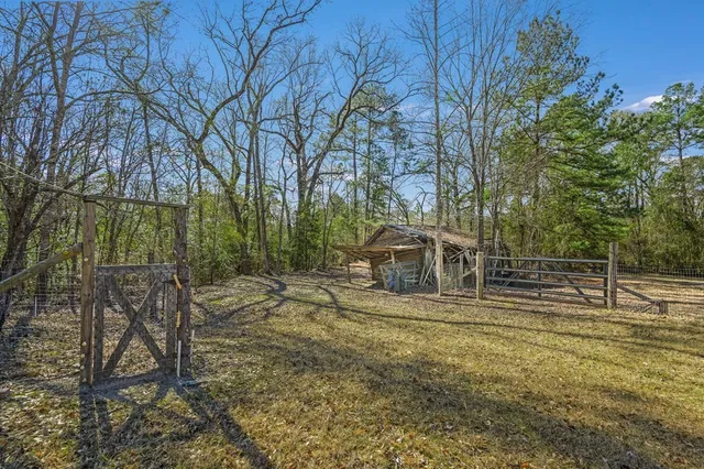 a view of a field with trees in the background