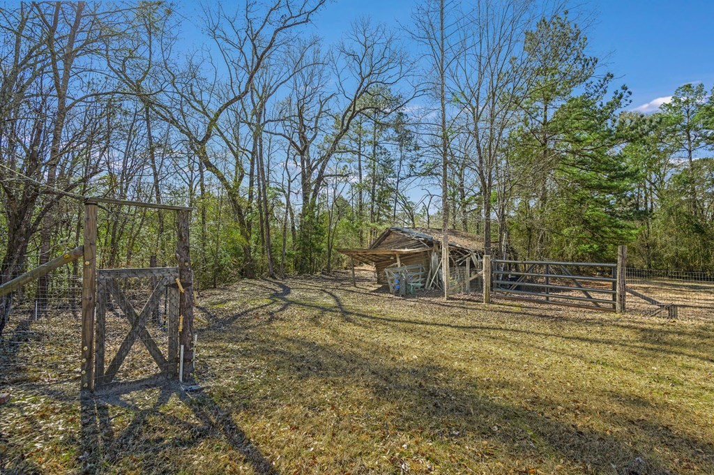 893 Capps Road Huntington, TX 75949 - Photo 15 of 32 a view of a yard with large trees