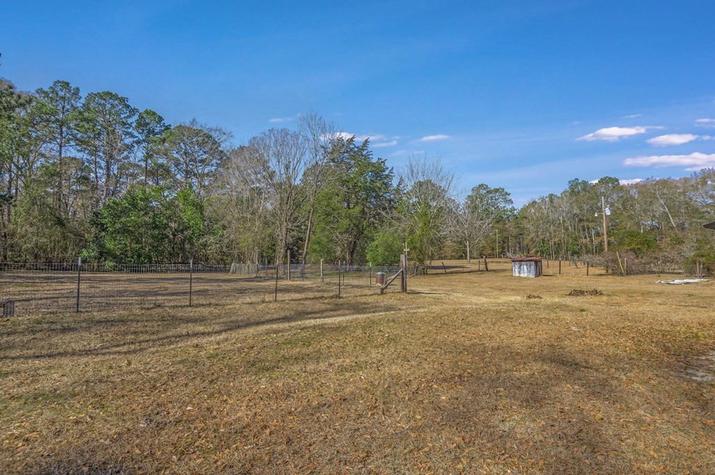 893 Capps Road Huntington, TX 75949 - Photo 16 of 32 a view of a field with trees in the background