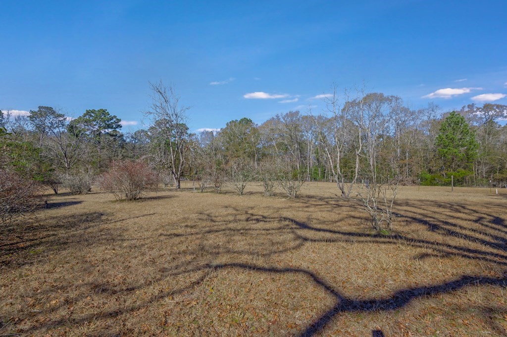893 Capps Road Huntington, TX 75949 - Photo 18 of 32 a view of a backyard of a house
