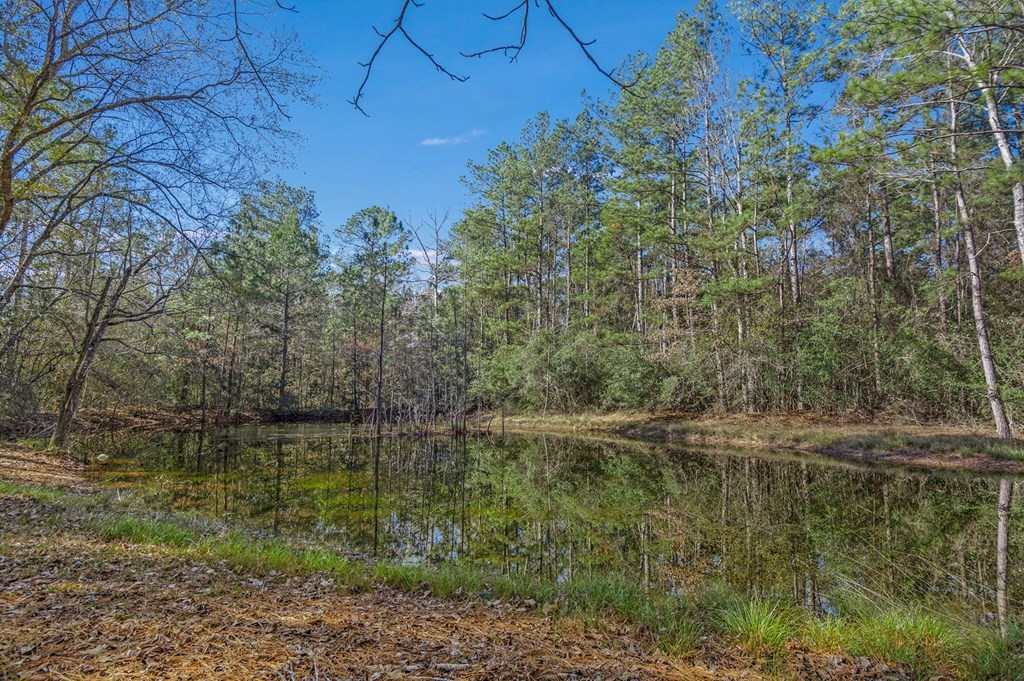 893 Capps Road Huntington, TX 75949 - Photo 20 of 32 a view of a lake view