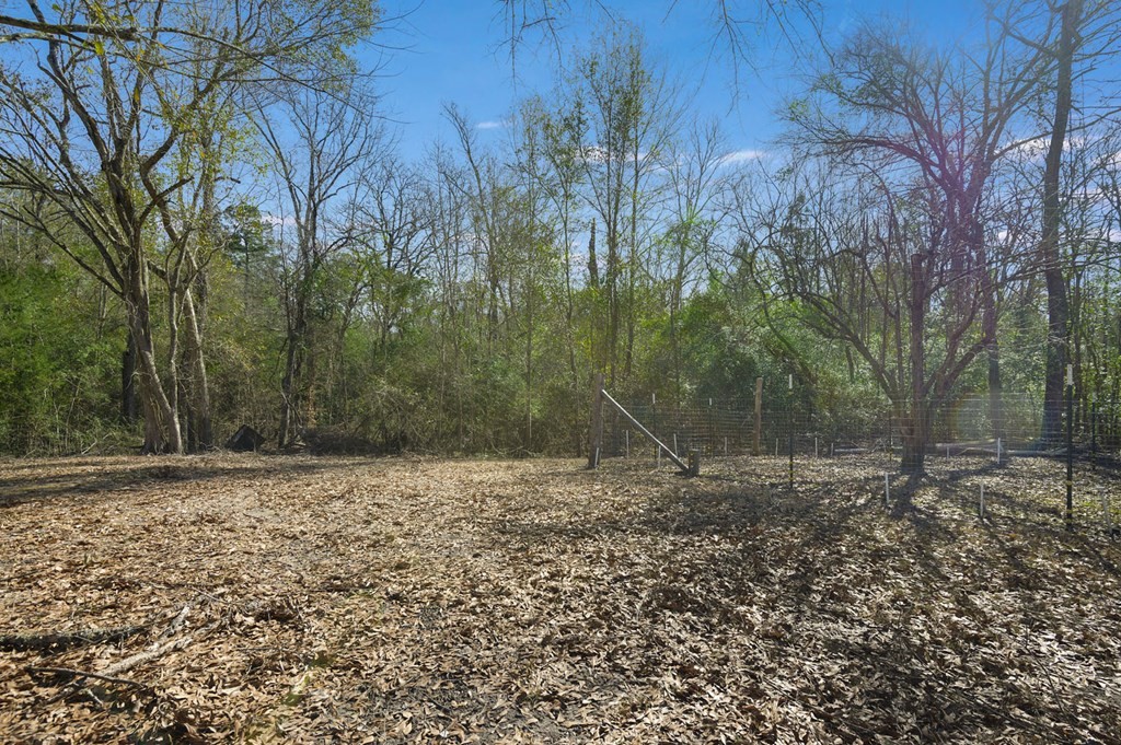 893 Capps Road Huntington, TX 75949 - Photo 21 of 32 a view of a yard with trees