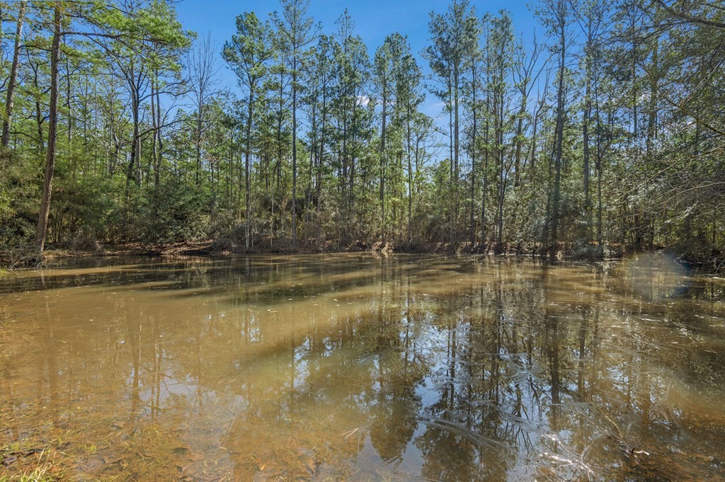 893 Capps Road Huntington, TX 75949 - Photo 25 of 32 a view of lake