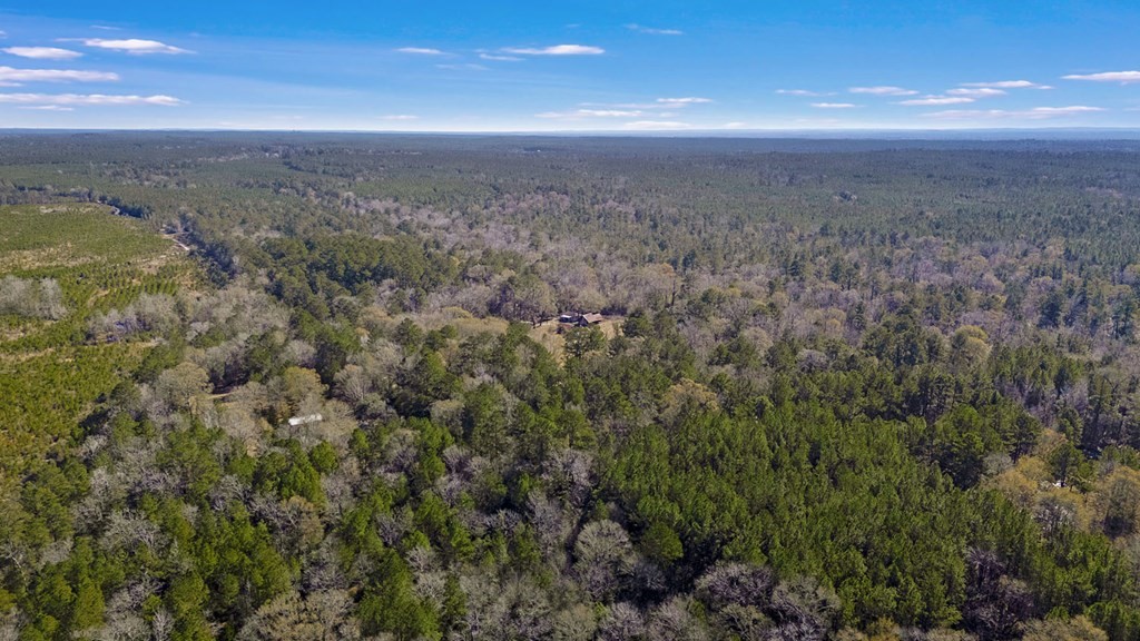 893 Capps Road Huntington, TX 75949 - Photo 28 of 32