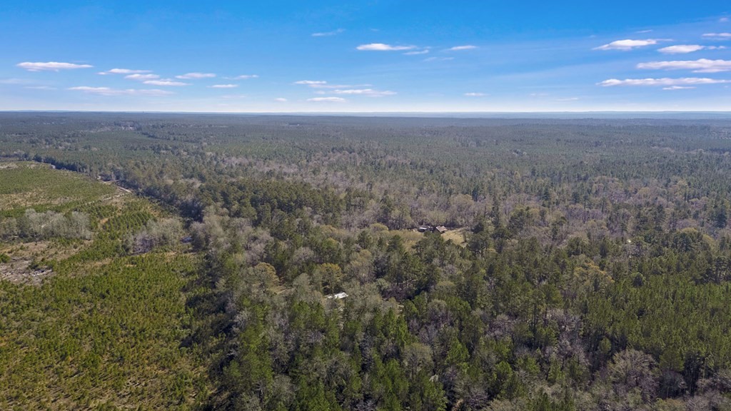 893 Capps Road Huntington, TX 75949 - Photo 29 of 32