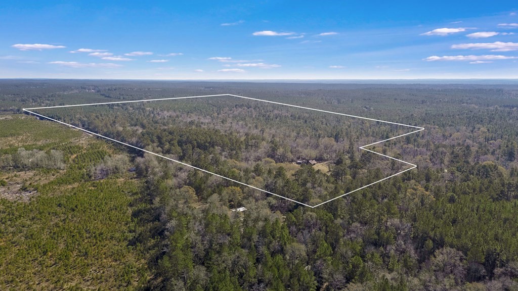 893 Capps Road Huntington, TX 75949 - Photo 30 of 32 a view of a room