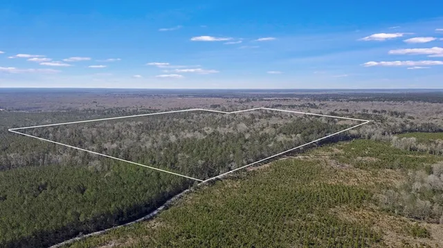 $649,900 | 893 Capps Road, Huntington, TX 75949