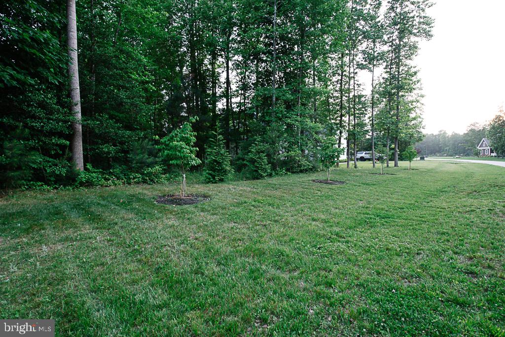 24268 Jerrico Road Lincoln, DE 19960 - Photo 42 of 44 Serene green space in nature's embrace.