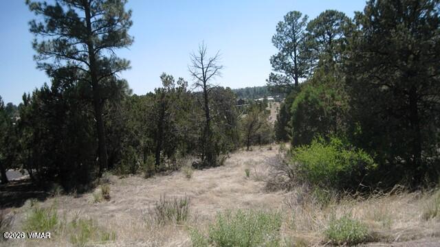 Undisclosed Address Overgaard, AZ 85933 - Photo 2 of 4 2223 Fairway 2
