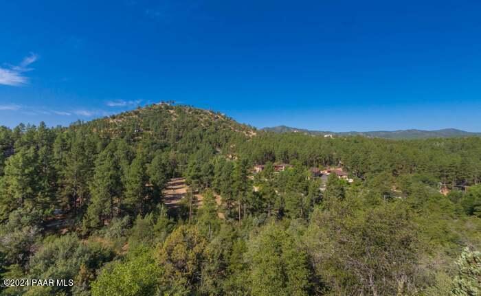 1200 Deerfield Road Prescott, AZ 86303 - Photo 24 of 24 National Forest view
