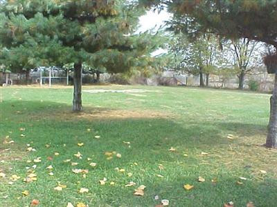 3405 Waterworks Road Winchester, KY 40391 - Photo 8 of 11 Back yard which leads down to the field