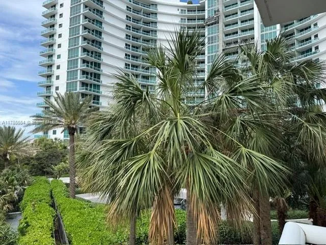 a view of a plant in a yard