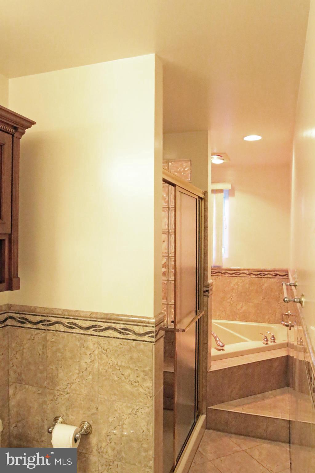 8131 Scotts Level Road Baltimore, MD 21208 - Photo 16 of 29 a bathroom with a shower