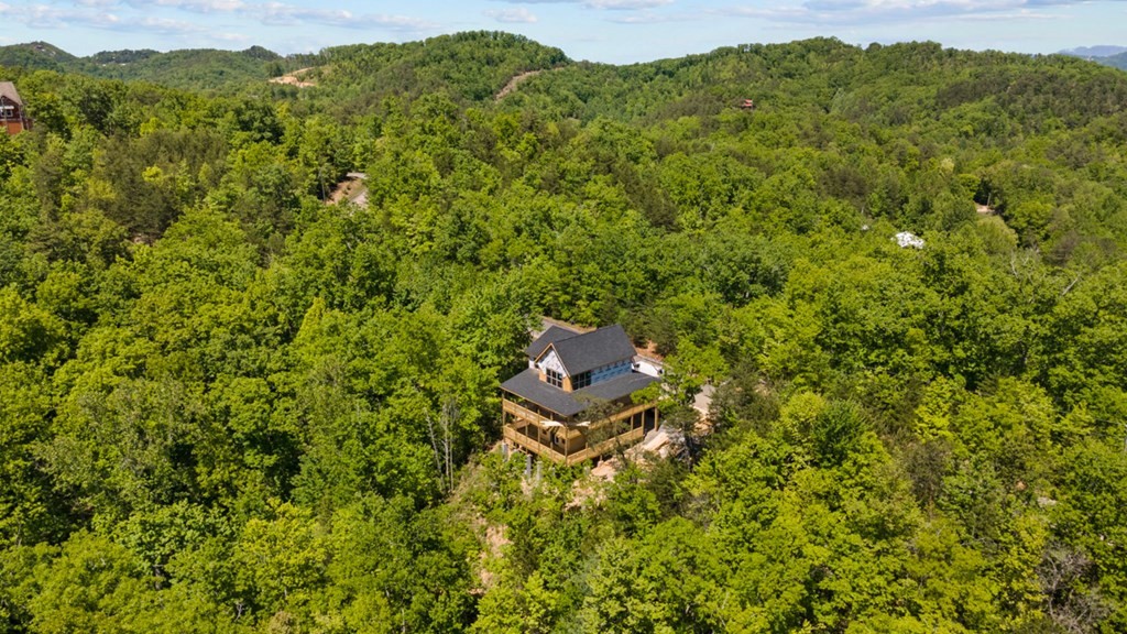 1633 Pinestand Rdg Way Sevierville, TN 37862 - Photo 30 of 33 Gallery Image 30