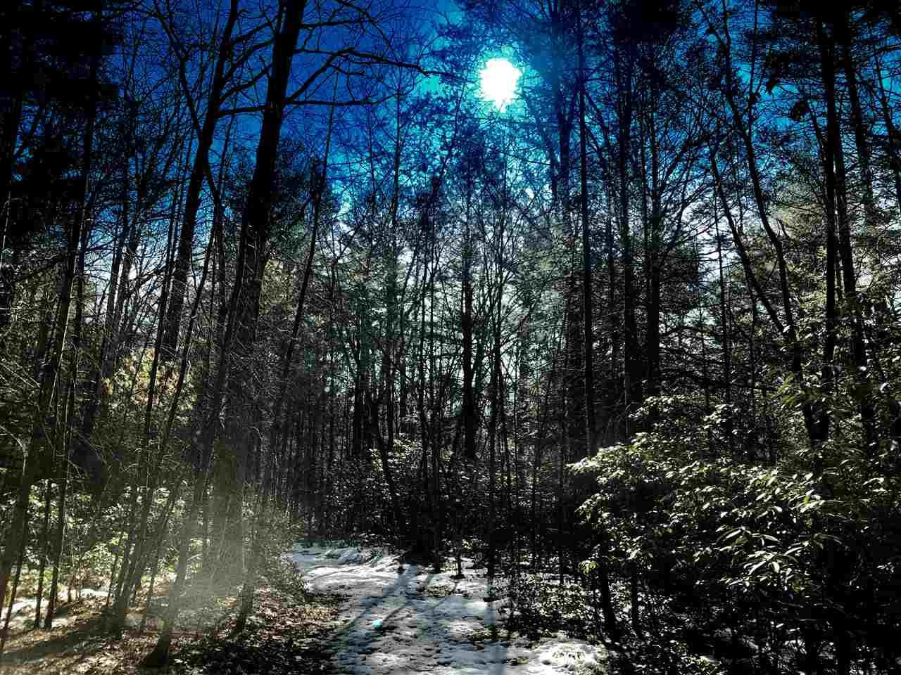 Old Sholam Road Napanoch, NY 12458 - Photo 14 of 35 Photo 14