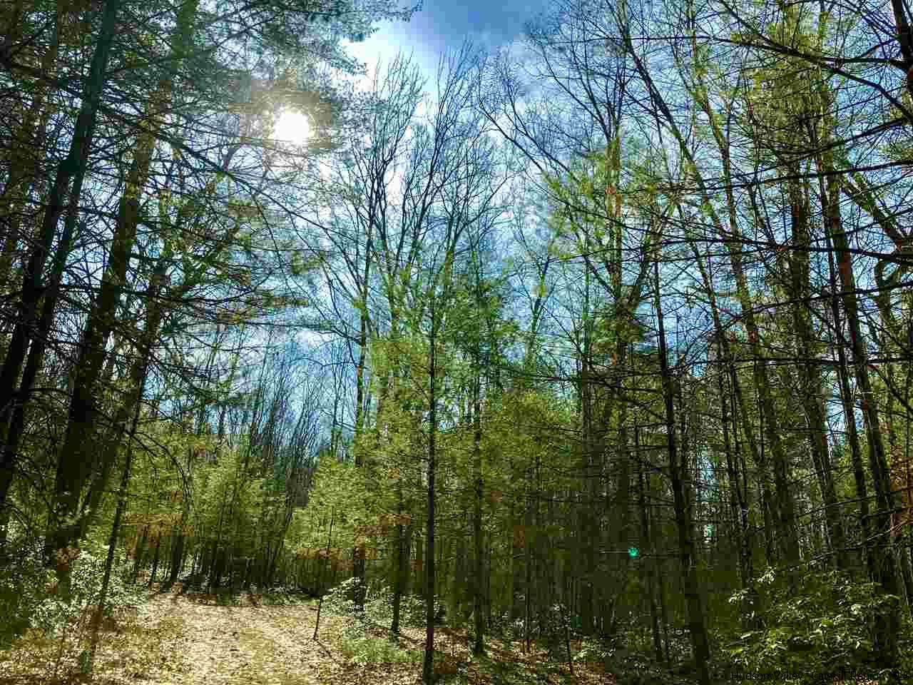 Old Sholam Road Napanoch, NY 12458 - Photo 15 of 35 Photo 15
