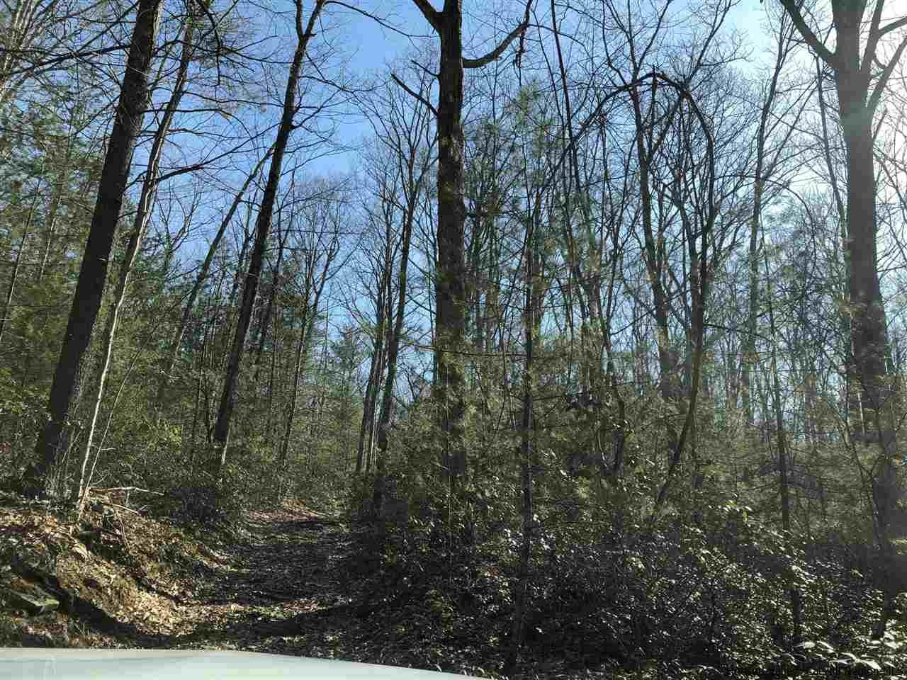 Old Sholam Road Napanoch, NY 12458 - Photo 16 of 35 Photo 16