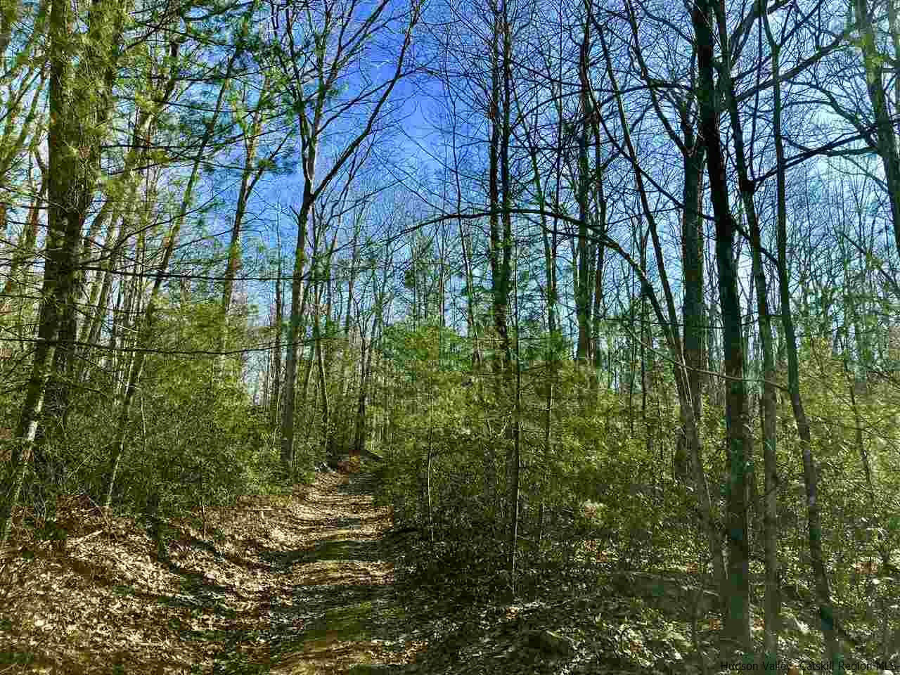 Old Sholam Road Napanoch, NY 12458 - Photo 17 of 35 Photo 17
