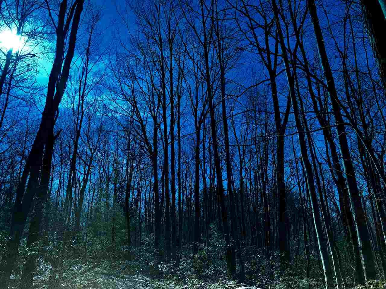Old Sholam Road Napanoch, NY 12458 - Photo 18 of 35 Photo 18