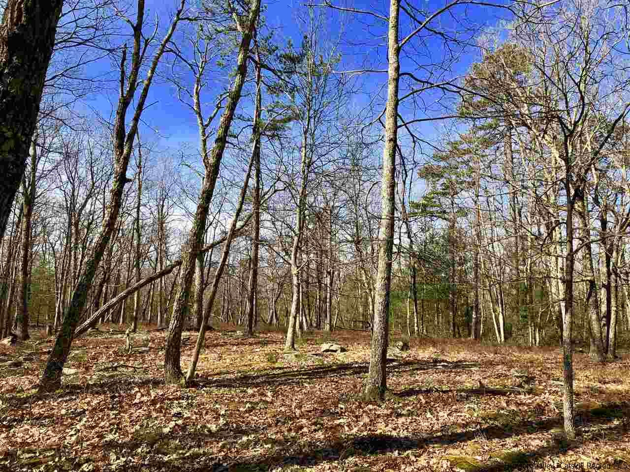 Old Sholam Road Napanoch, NY 12458 - Photo 19 of 35 Photo 19