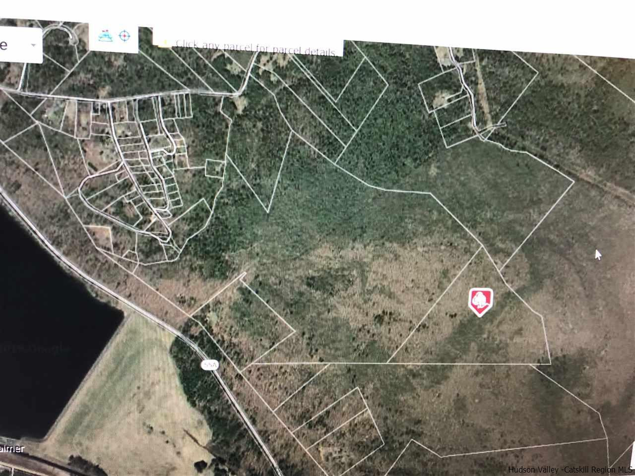 Old Sholam Road Napanoch, NY 12458 - Photo 2 of 35 Photo 2