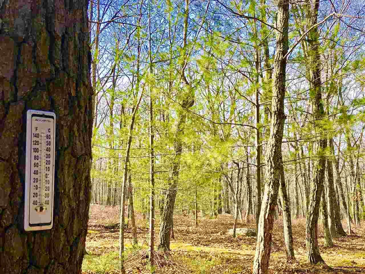 Old Sholam Road Napanoch, NY 12458 - Photo 21 of 35 Photo 21