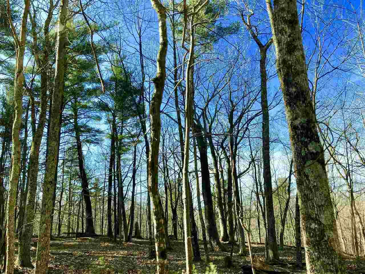 Old Sholam Road Napanoch, NY 12458 - Photo 24 of 35 Photo 24