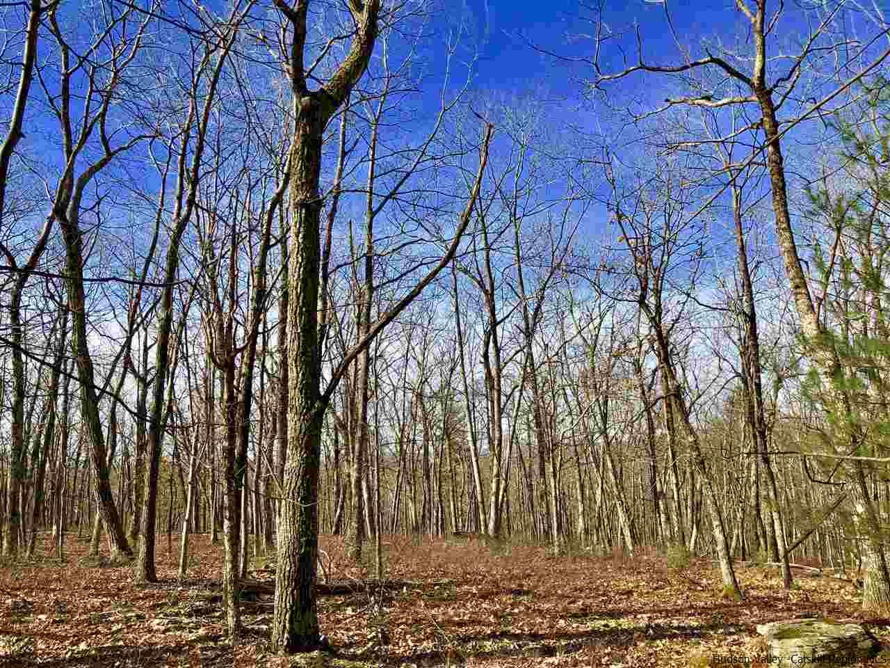 Old Sholam Road Napanoch, NY 12458 - Photo 25 of 35 Photo 25