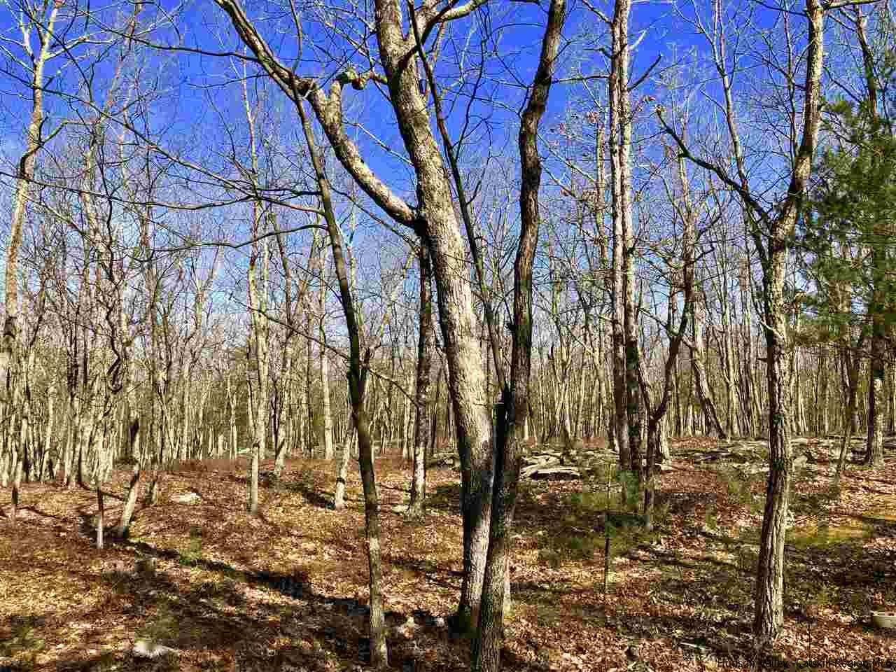 Old Sholam Road Napanoch, NY 12458 - Photo 26 of 35 Photo 26