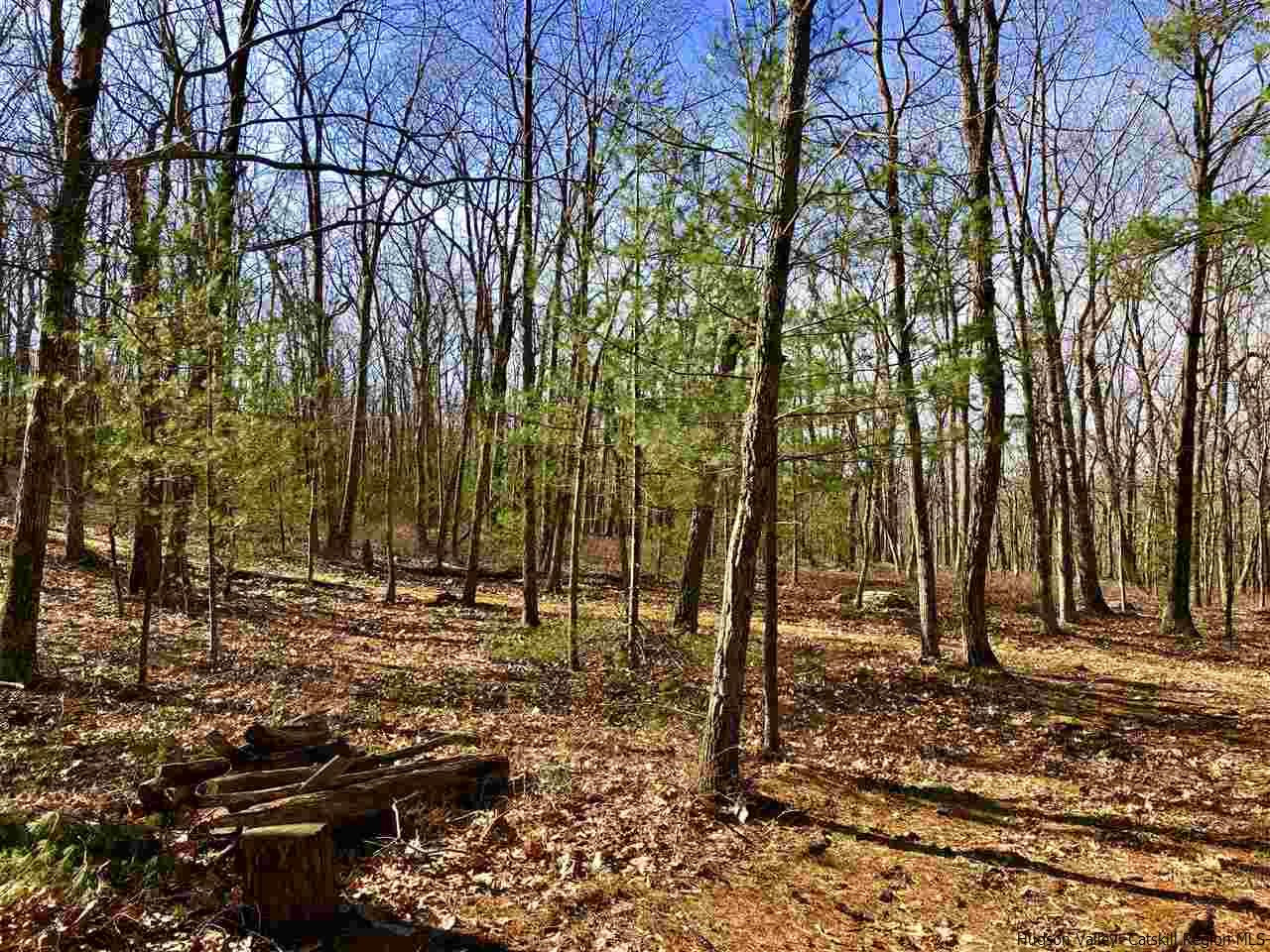 Old Sholam Road Napanoch, NY 12458 - Photo 27 of 35 Photo 27