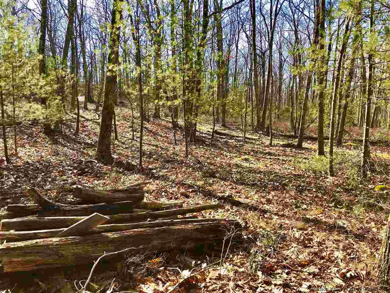 Old Sholam Road Napanoch, NY 12458 - Photo 28 of 35 Photo 28