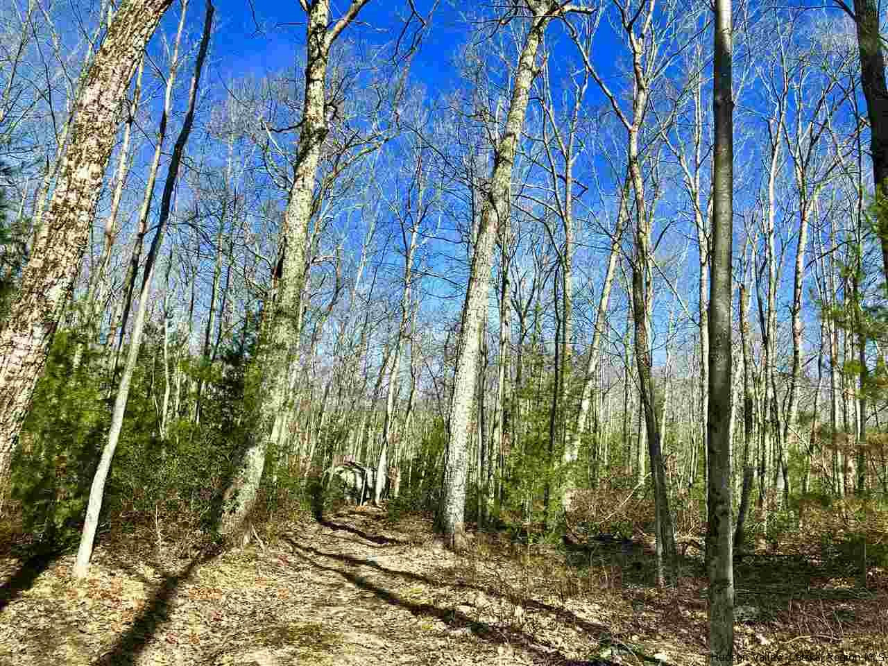 Old Sholam Road Napanoch, NY 12458 - Photo 30 of 35 Photo 30