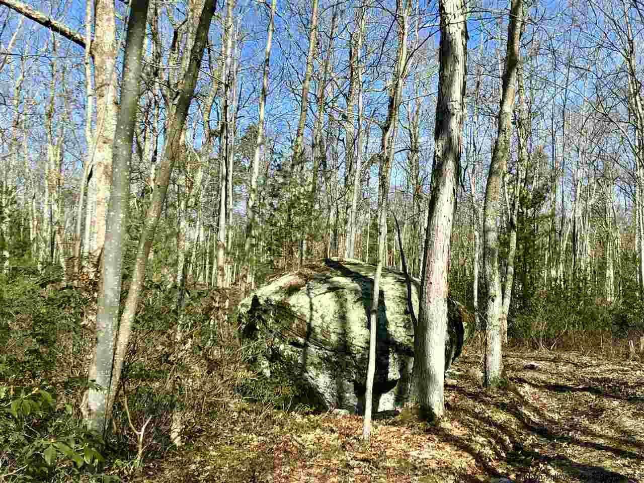 Old Sholam Road Napanoch, NY 12458 - Photo 31 of 35 Photo 31