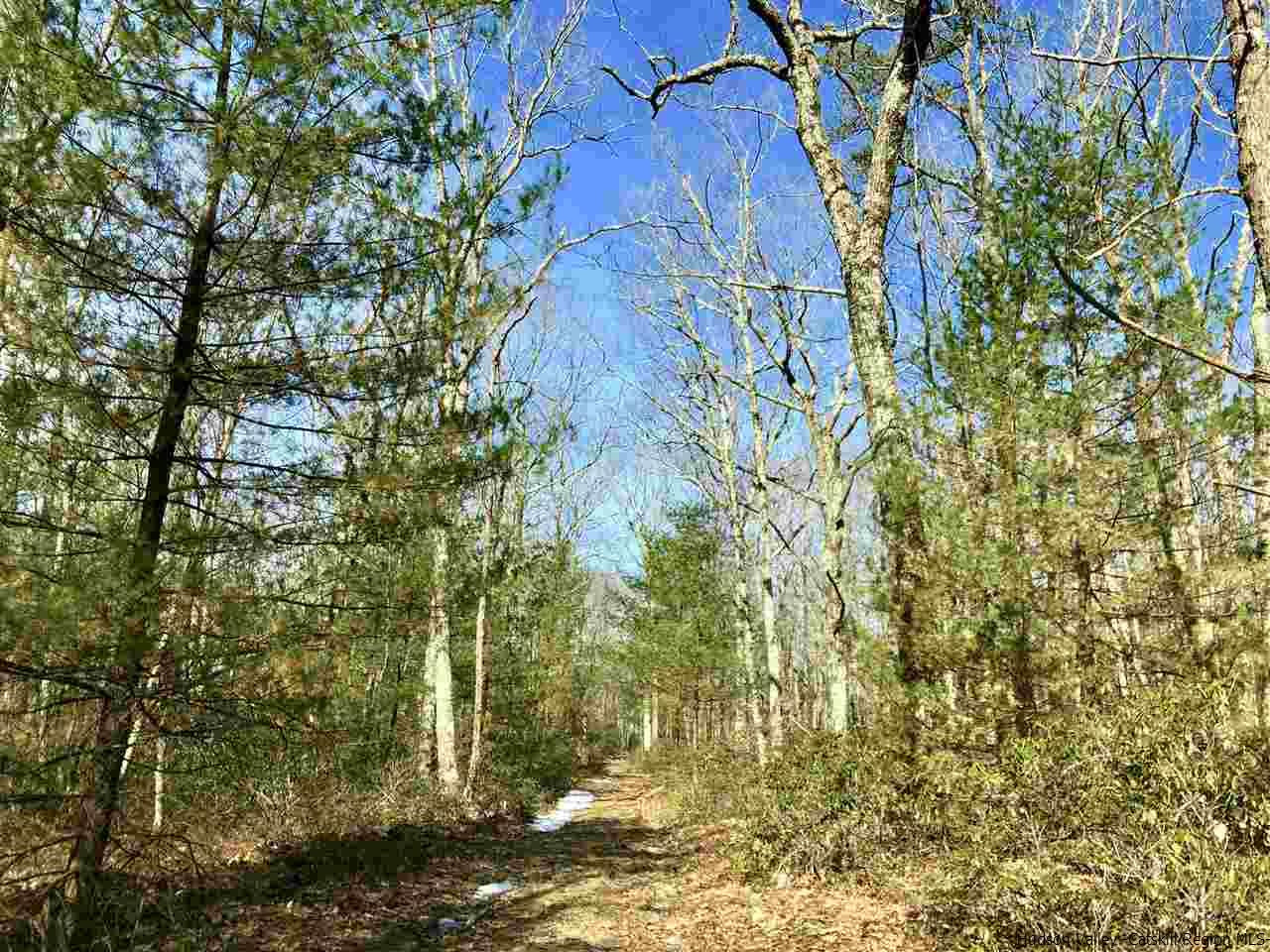 Old Sholam Road Napanoch, NY 12458 - Photo 32 of 35 Photo 32