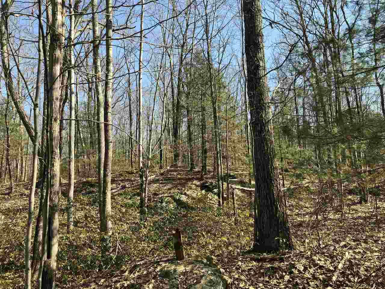 Old Sholam Road Napanoch, NY 12458 - Photo 33 of 35 Photo 33