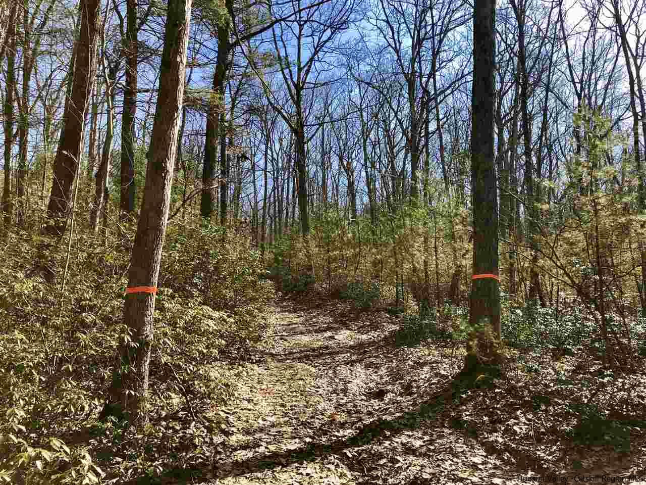 Old Sholam Road Napanoch, NY 12458 - Photo 34 of 35 Photo 34