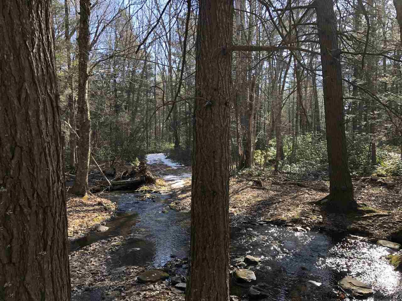 Old Sholam Road Napanoch, NY 12458 - Photo 5 of 35 Photo 5