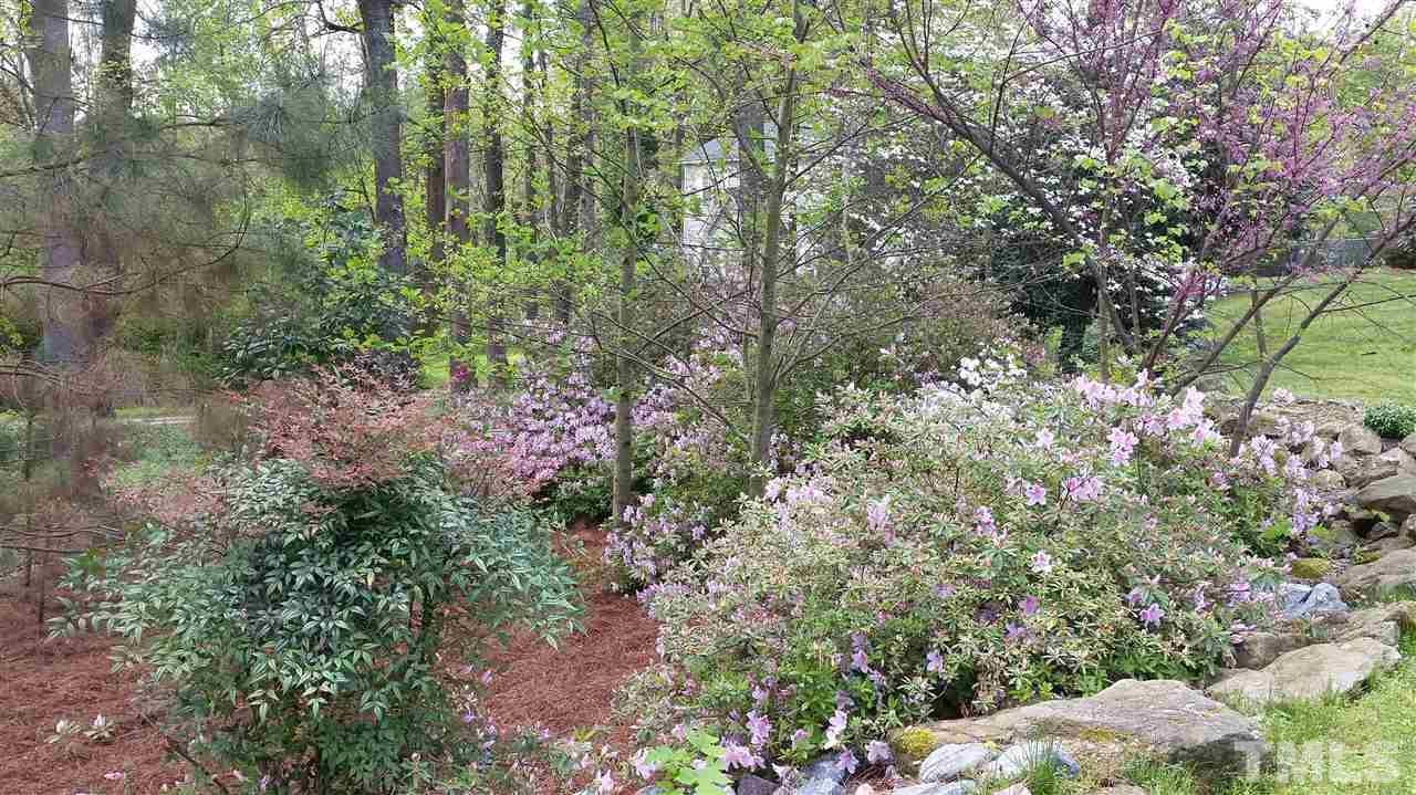 3901 Pin Oak Road Raleigh, NC 27604 - Photo 22 of 24 a view of a garden with plants and large trees