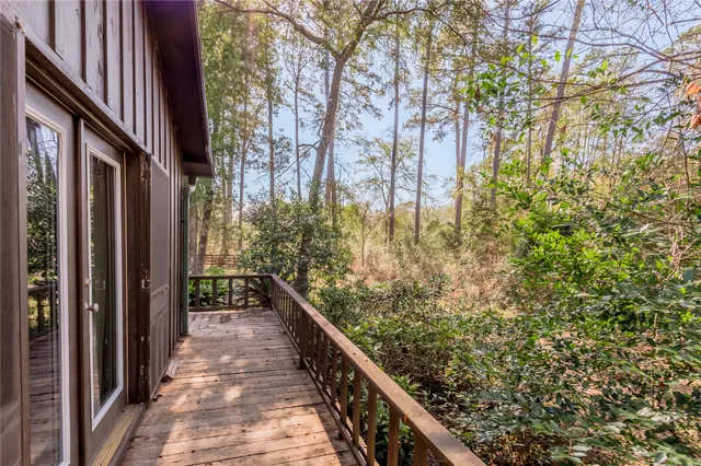 a view of a park with large trees