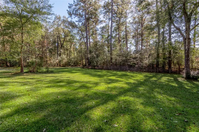 a view of a yard with trees