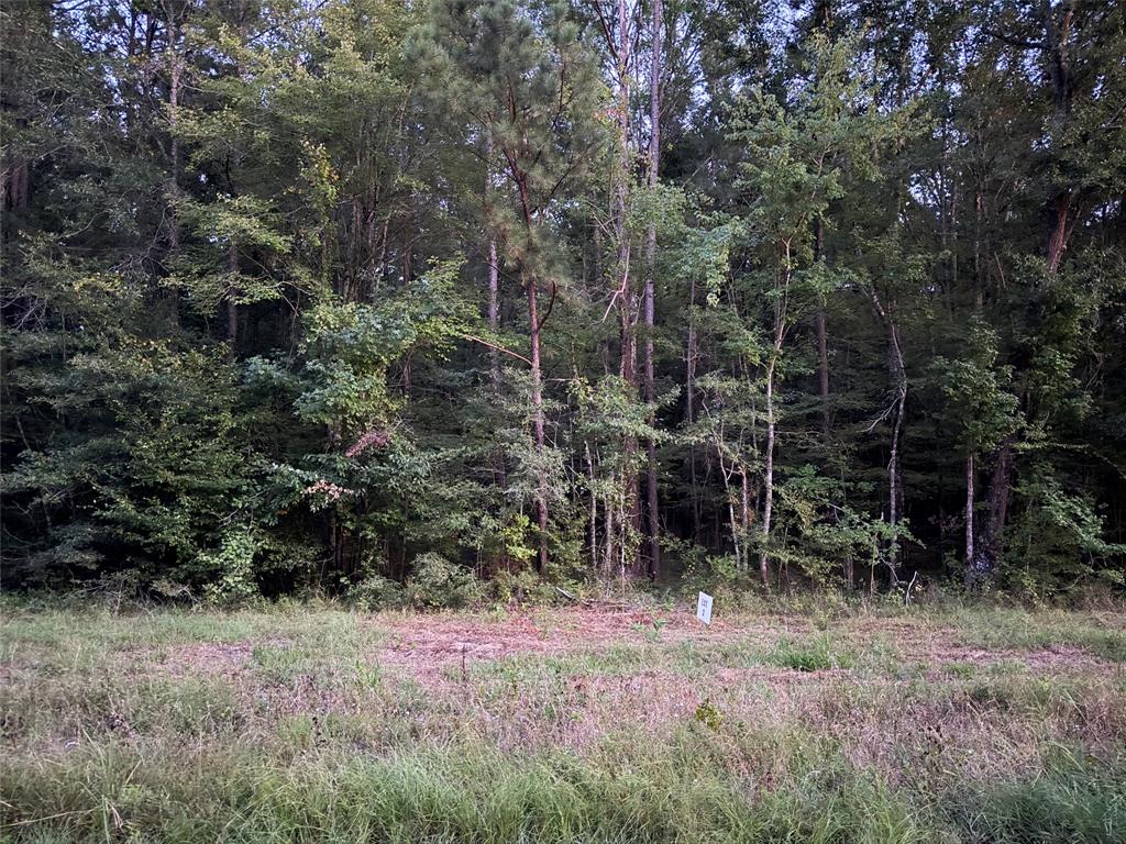 2 Airline Road Dubach, LA 71235 - Photo 2 of 3 Gallery Image 2