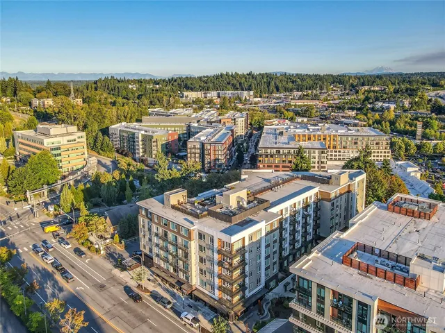 a view of city with ocean
